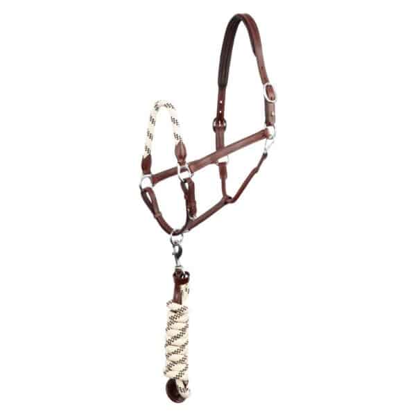 Ensemble licol et longe pour cheval en cuir BR Equitation Dundee