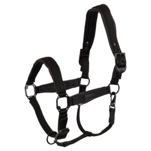 Licol BR Equitation  Fedde