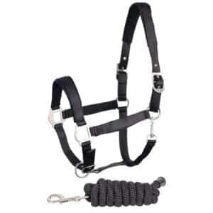 Ensemble licol pour cheval satin Harry's Horse