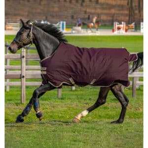Couverture d'extérieur pour cheval Horseware Amigo Hero Ripstop 100g