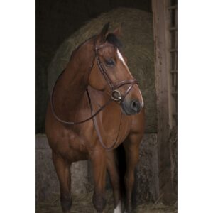 Rênes pour cheval caoutchouc large Norton Pro