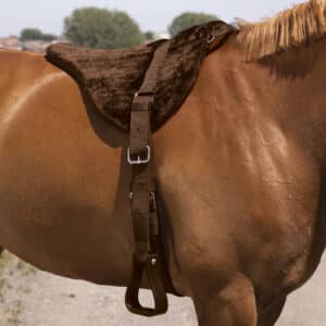 Tapis en forme de selle pour cheval de monte à cru confort Norton
