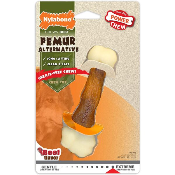 Jouet pour chien Nylabone Extreme Chew - Femur Beef Flavour L