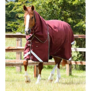 Couverture d'extérieur imperméable pour cheval avec couvre-cou Premier Equine Buster 0 g