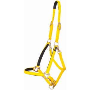 Licol pour cheval T de T Biotack®