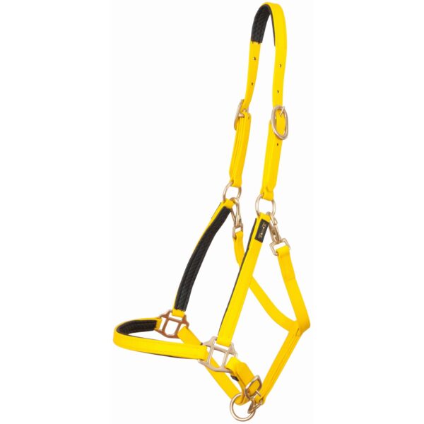 Licol pour cheval T de T Biotack®