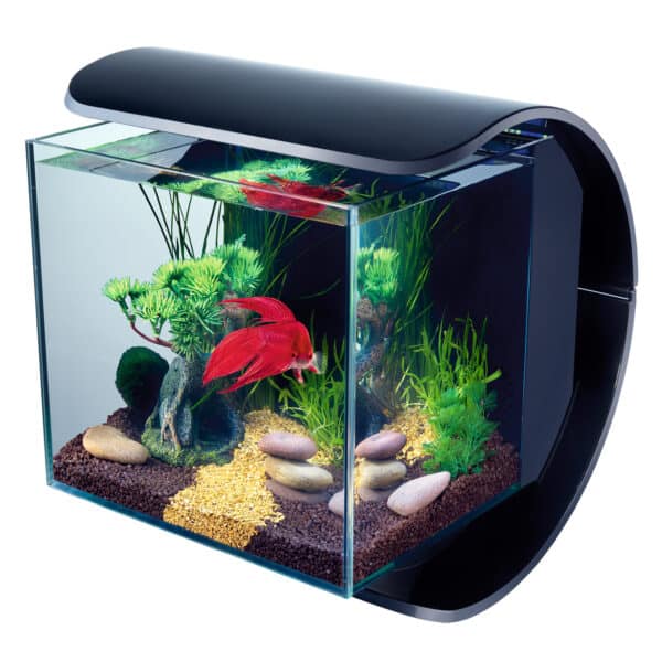 Ampoule LED silhoutte Tetra